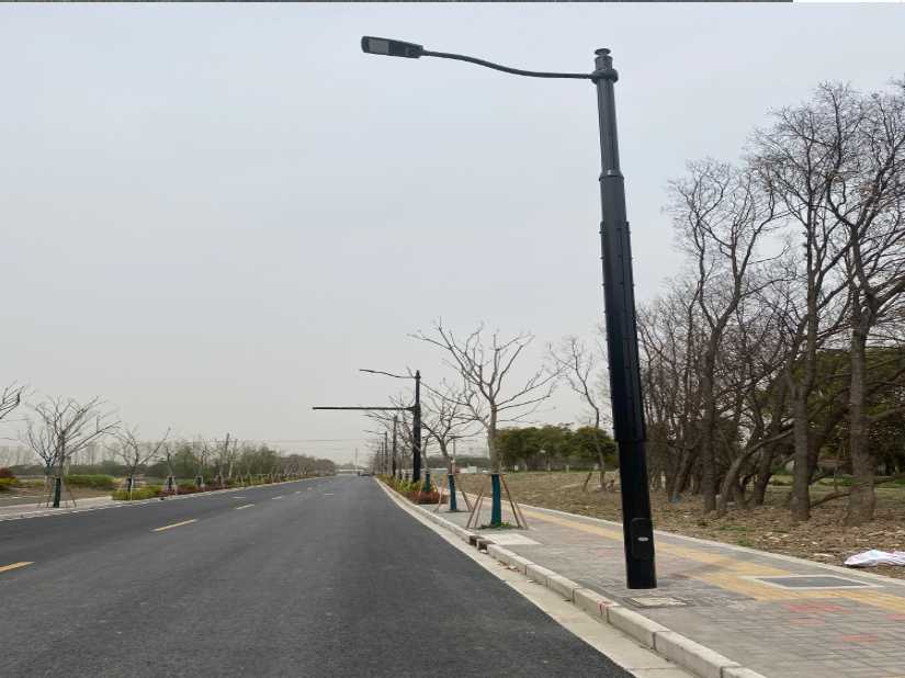 忠县上海综合杆 太阳能路灯工程